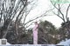 A woman in a pink kimono standing in the snow.