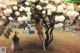 A naked woman standing under a tree in a cemetery.